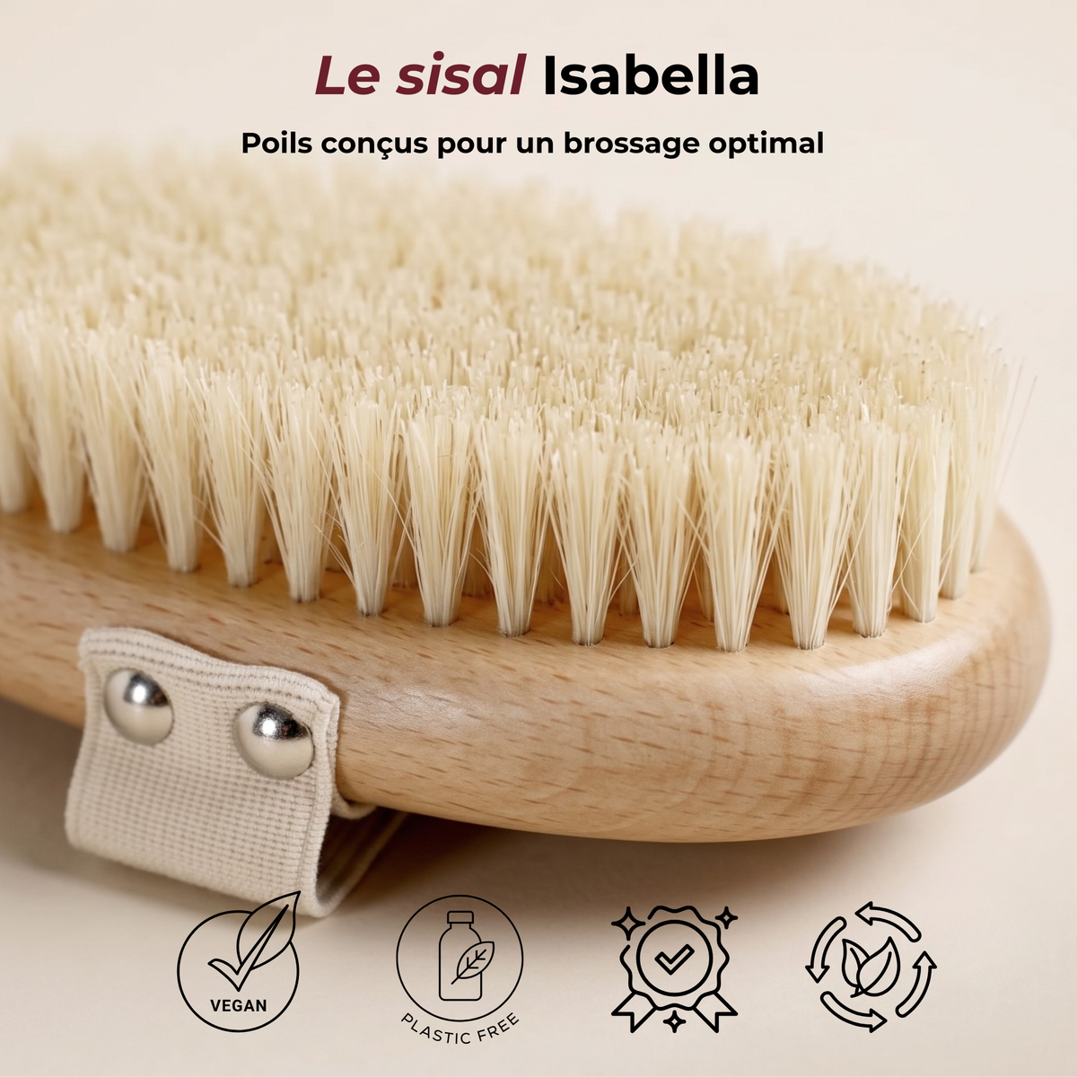 La brosse corps Isabella
